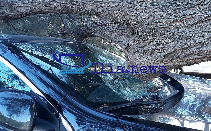 Ηλεία: Τεράστιο κλαδί δέντρου καταπλάκωσε αυτοκίνητο