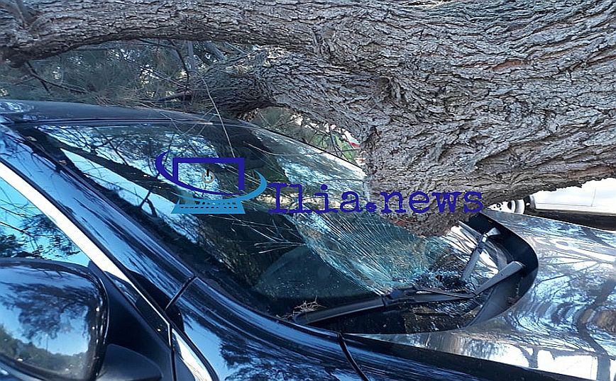 Ηλεία: Τεράστιο κλαδί δέντρου καταπλάκωσε αυτοκίνητο