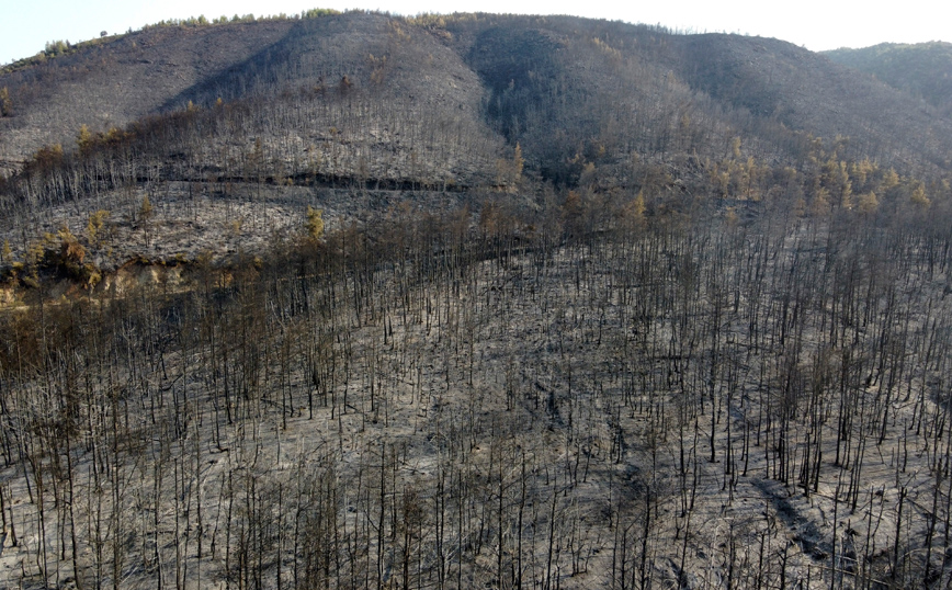 Εύβοια: Σοκαριστικές εικόνες μετά τη φωτιά &#8211; Κρανίου τόπος η περιοχή