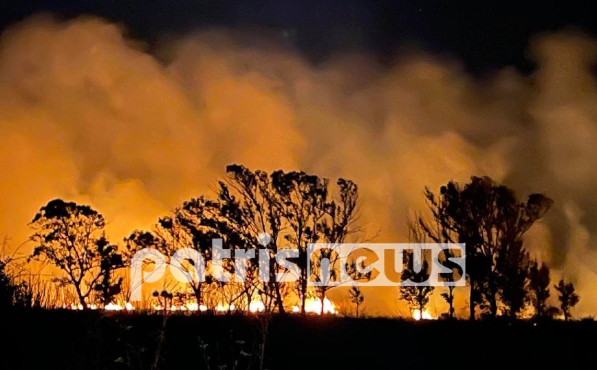 Φωτιά στον Πύργο: Στις φλόγες περιοχή με καλάμια στη Μούτελη