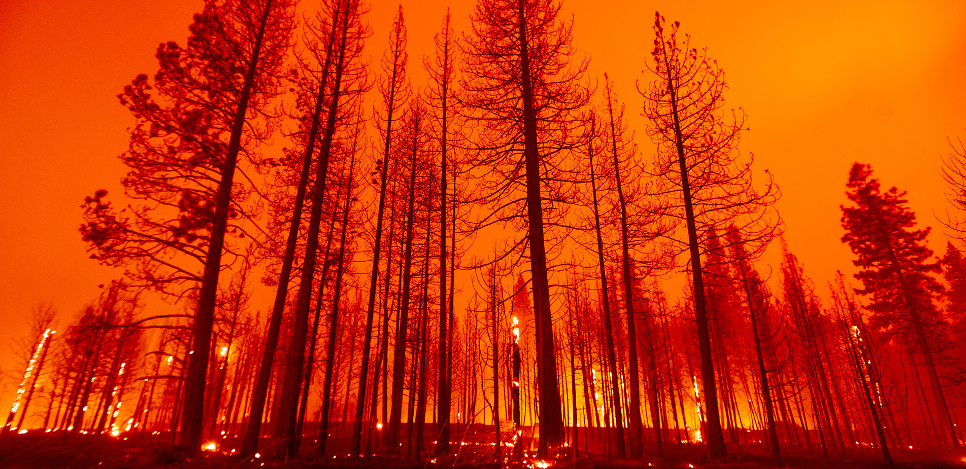 Πυρκαγιές τη νύχτα: Τα ζεστά και ξηρά βράδια έχουν αλλάξει όλα τα δεδομένα της πυρόσβεσης