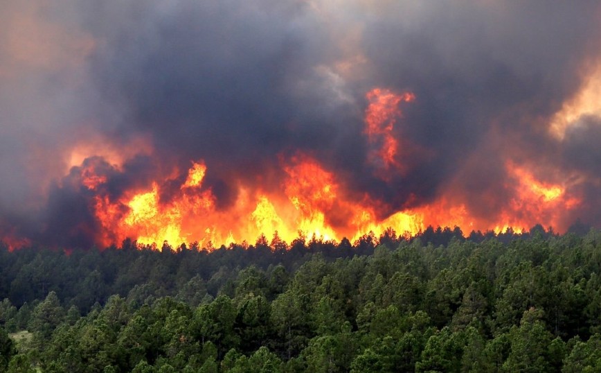 Αλβανία: Ένας νεκρός από τις δασικές πυρκαγιές στο Αργυρόκαστρο