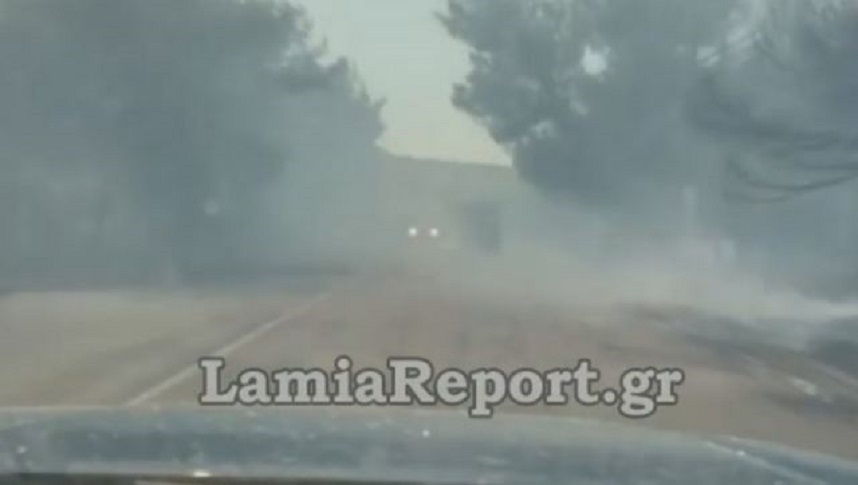 Φωτιά στη Φθιώτιδα: Οι φλόγες κυκλώνουν σπίτια στον Θεολόγο &#8211; Δόθηκε εντολή εκκένωσης