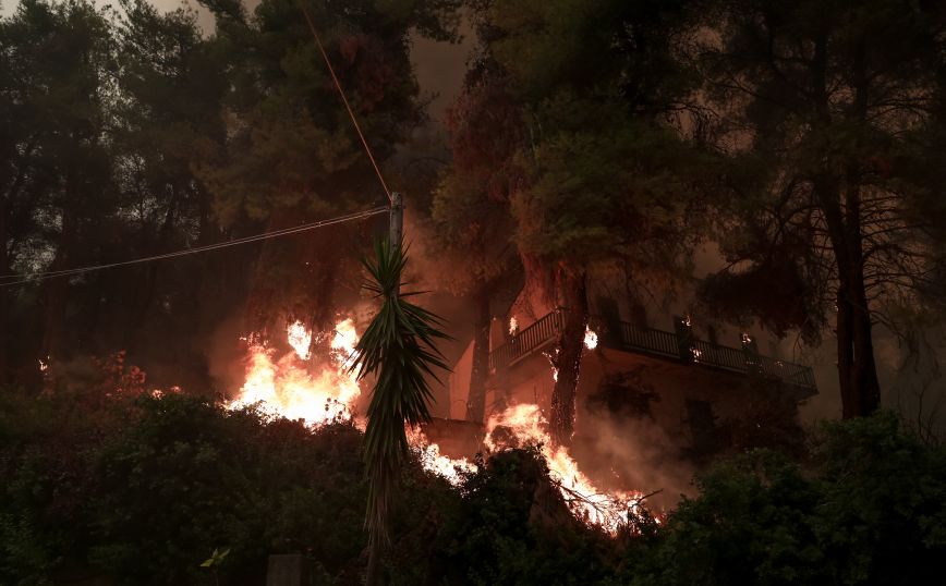 Φωτιά Αρκαδία: Σε διαθεσιμότητα αξιωματικός της ΕΛ.ΑΣ – Καταγγελίες ότι ζήτησε μέσο για να στείλει πυροσβεστικό