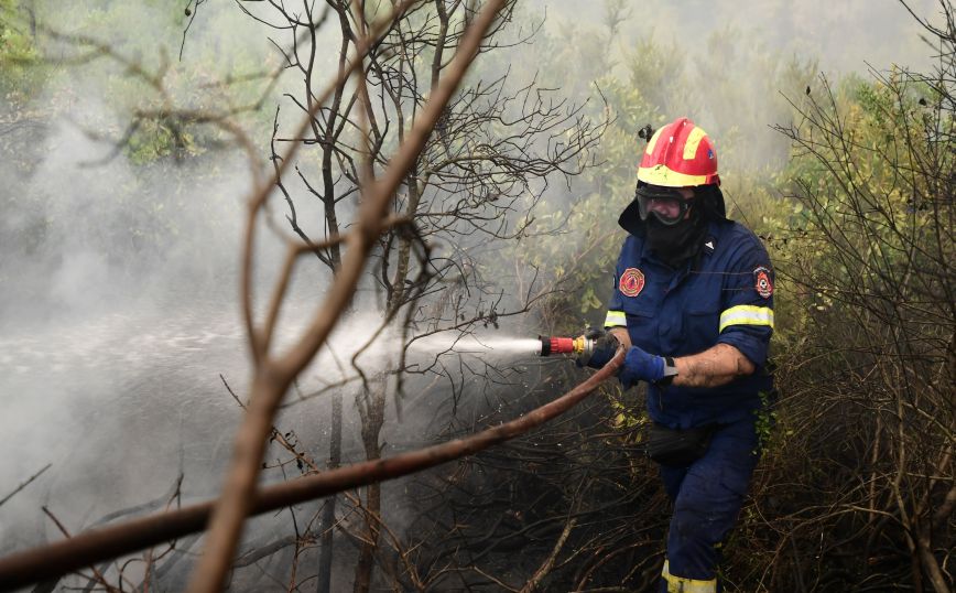 Υπό έλεγχο η φωτιά στις Πετριές στην Εύβοια &#8211; Ξέσπασε εξαιτίας κεραυνού