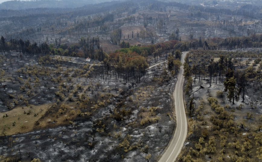 Τρία εκατομμύρια ευρώ στις Περιφέρειες που κάηκαν το καλοκαίρι