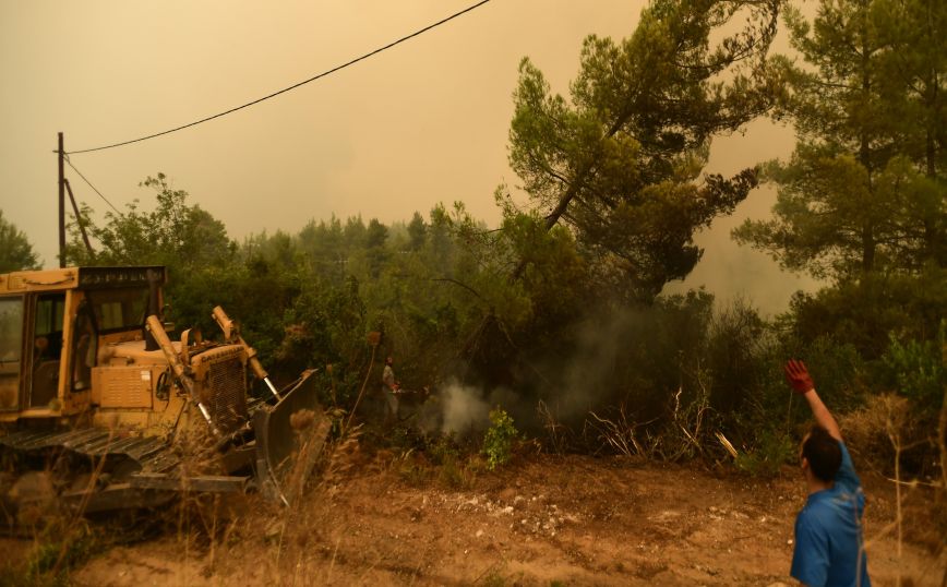 Φωτιά στην Εύβοια: Γυναίκα ζήταγε αεροπλάνο και αστυνομικός της απάντησε «θα το κάνουμε παραγγελία»