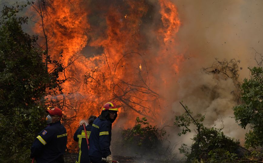 Γερμανικός Τύπος για φωτιές: Η πρόληψη είναι το «κλειδί»