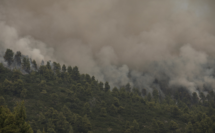 «Καμπανάκι» από Παγώνη: Τα σωματίδια είναι ό,τι χειρότερο για το αναπνευστικό μας σύστημα