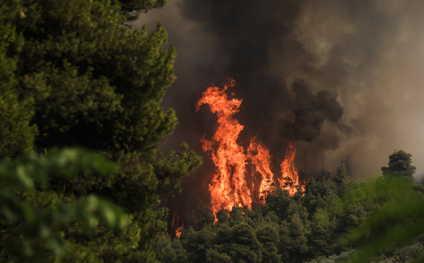 Φωτιά στην Εύβοια: Σε ετοιμότητα το Λιμενικό – Οι φλόγες κυκλώνουν τη Μηλιά και τον Βουτά