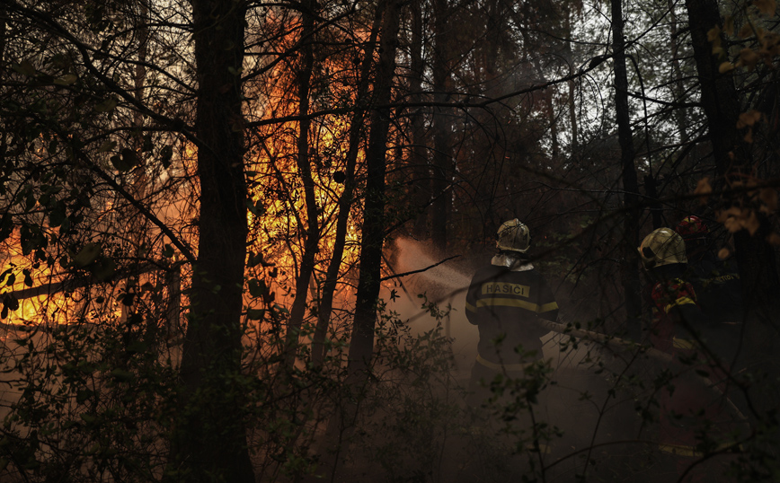 Φωτιά στην Εύβοια &#8211; Λέκκας: 300.000 στρέμματα δάσους έχουν καταστραφεί ολοσχερώς