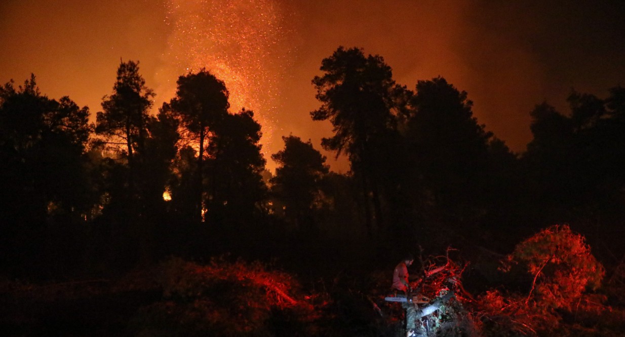 Στη θάλασσα έφτασαν οι φλόγες στο Αγριοβότανο &#8211; Δύσκολο βράδυ στην Αρκαδία