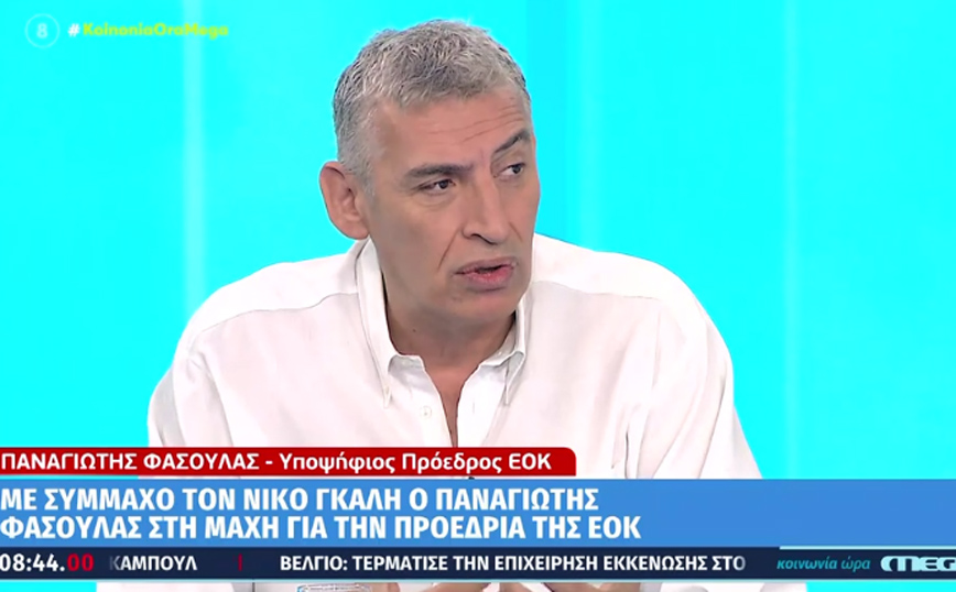 Φασούλας: Ο Νίκος Γκάλης είναι ήδη επίτιμος πρόεδρος