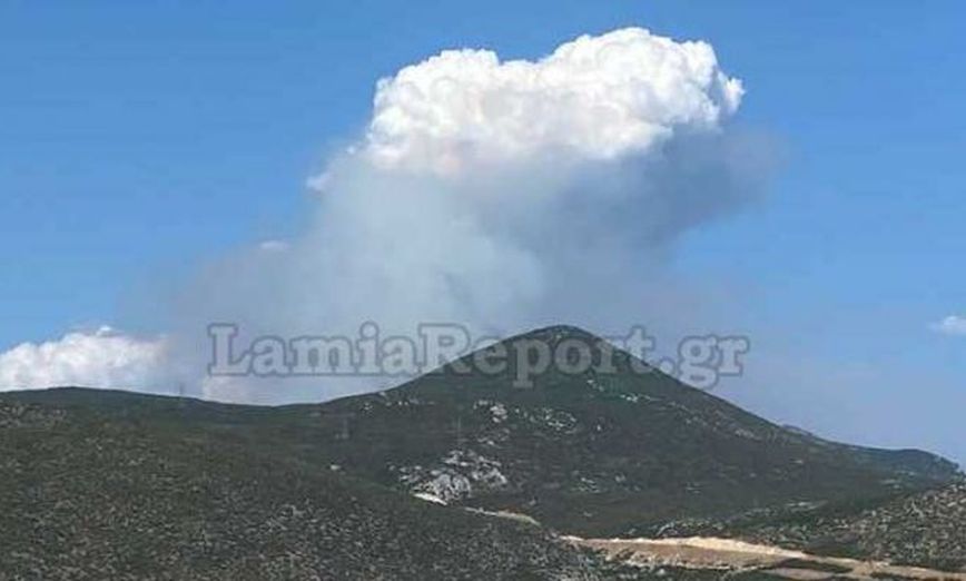 Ανεξέλεγκτη η φωτιά στη Φθιώτιδα: Φόβοι για το Λογγίτσι, ζητήθηκε εκκένωση του χωριού