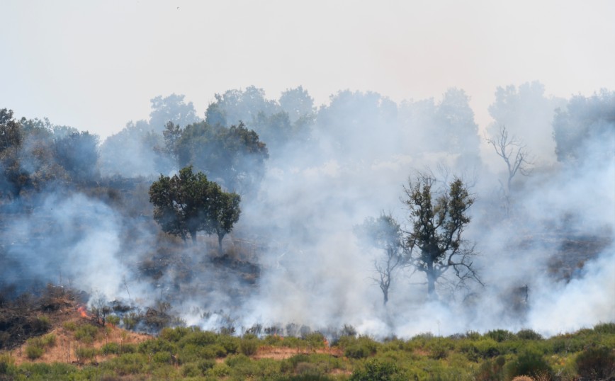 Κορυφαίος αστροφυσικός για κλιματική αλλαγή: Έχουμε περιθώριο 30 με 40 χρόνια – «Ίσως η πορεία να μην είναι αναστρέψιμη»