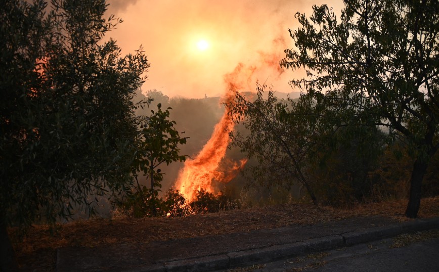 Φωτιά στη Βαρυμπόμπη: Πέντε οι εγκαυματίες – Έχουν μεταφερθεί στο νοσοκομείο