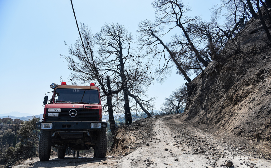 Κυβερνητικό κλιμάκιο αύριο στην Πάτρα για αποτίμηση των καταστροφών από την φωτιά στην Αιγιάλεια