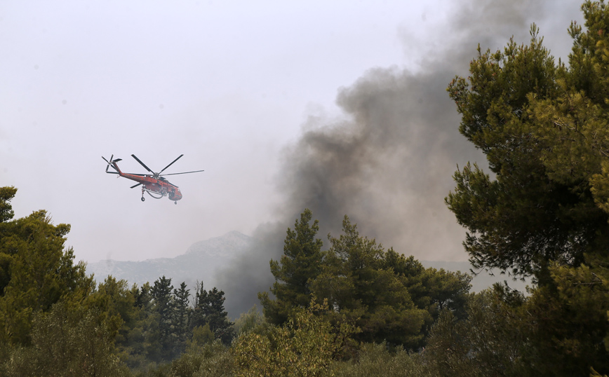 Φωτιά στη Λίμνη Ευβοίας: Οι φλόγες περικύκλωσαν τους πυροσβέστες &#8211; Τρεις τραυματίες