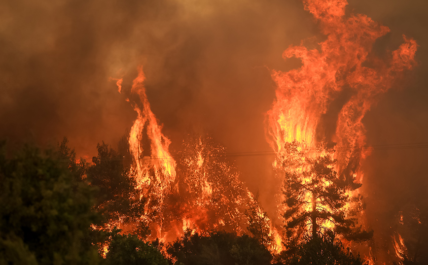 Φωτιά στην Εύβοια: Δραματικές οι ώρες – Η πυρκαγιά κινείται ανεξέλεγκτα στο Πευκί