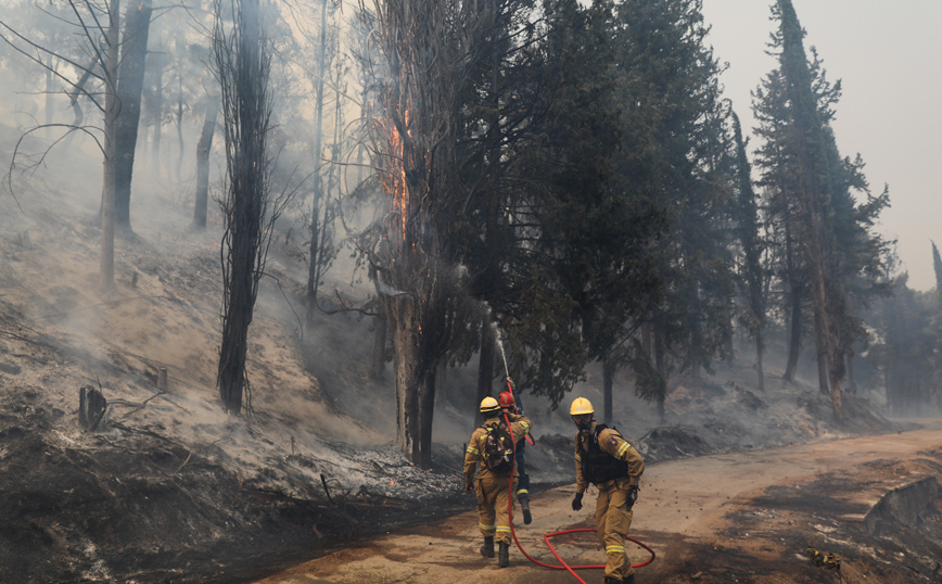 Φωτιά στη Βαρυμπόμπη: Τα μέτρα οικονομικής ενίσχυσης των πληγέντων &#8211; Αναδασωτέες όλες οι καμένες εκτάσεις