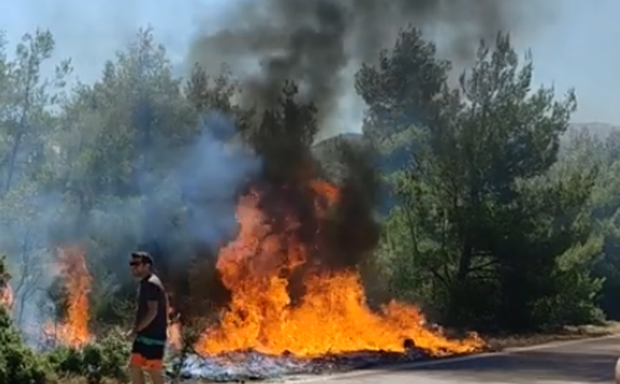 Βίντεο από το πώς ξεκίνησε η φωτιά στα Βίλια: «Μπορούσε να είχε περιοριστεί, ο καπνός ήταν πολύ λίγος»