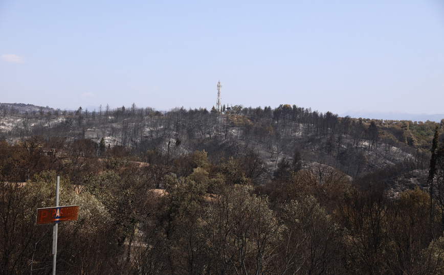 Φωτιές στη Γορτυνία και Αρχαία Ολυμπία: Συνεχίζει να επιχειρεί η πυροσβεστική υπό τον φόβο αναζωπυρώσεων