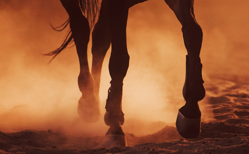Φωτιά στη Λακωνία: Συγκλονίζει εθελόντρια που στα χέρια της ξεψύχησε άλογο &#8211; «Kοίταξε με σεβασμό και έκλεισε τα μάτια»
