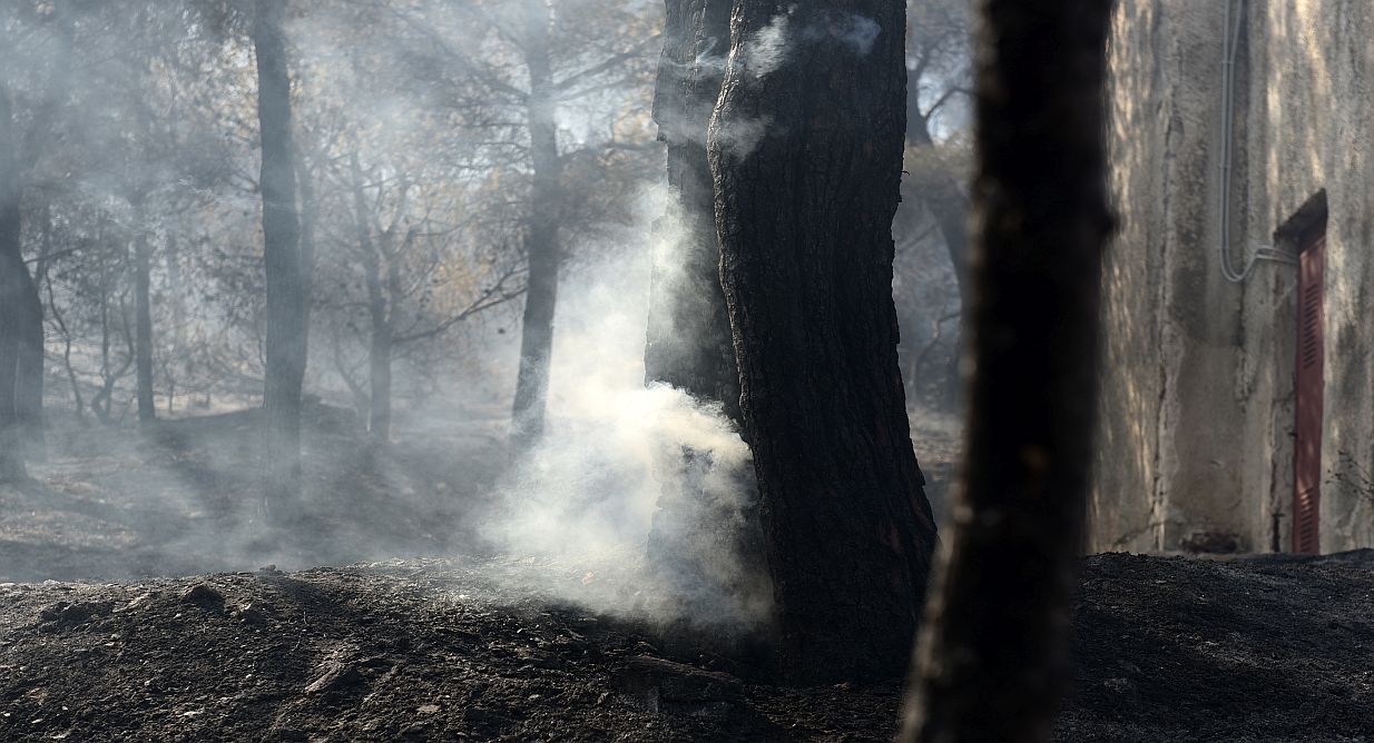 Αναζωπύρωση στην Κάρυστο – Συναγερμός στην Πυροσβεστική