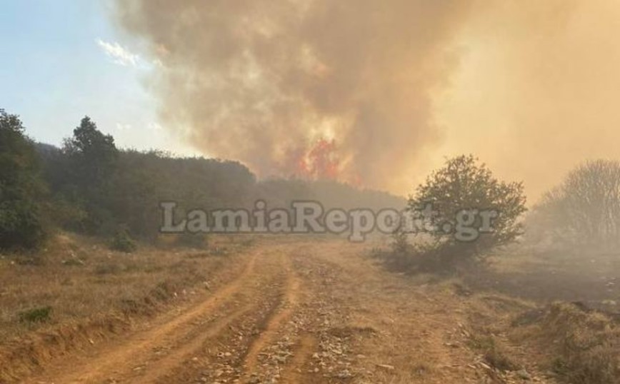 Φωτιά στη Φθιώτιδα: Οι φλόγες πλησιάζουν το Λογγίτσι, απομακρύνθηκαν οι κάτοικοι