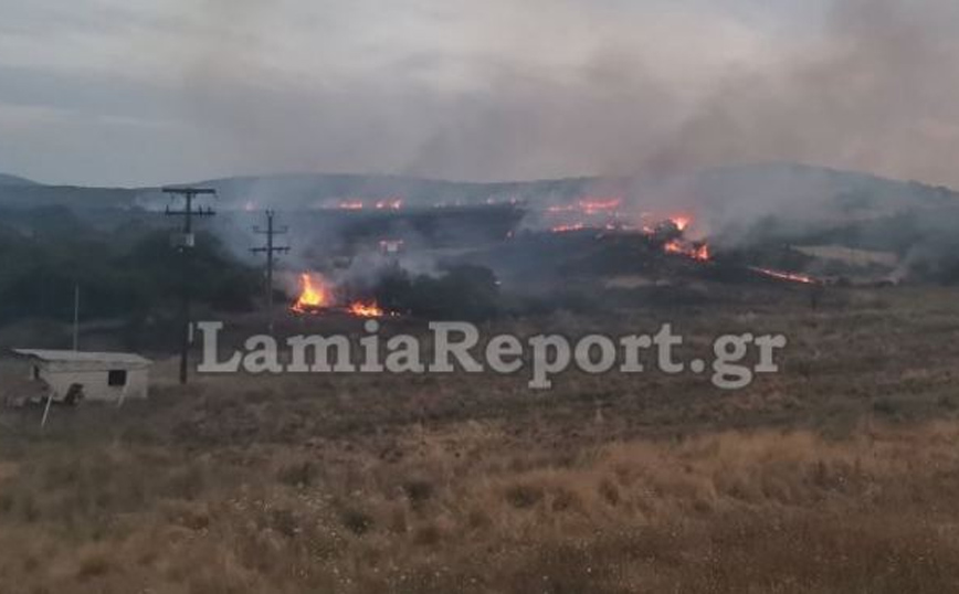 Υπό έλεγχο φωτιά σε τρία μέτωπα στη Λαμία