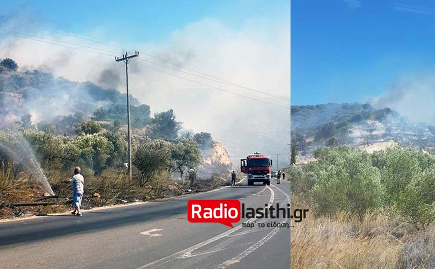 Φωτιά στην Ιεράπετρα: Μεγάλη κινητοποίηση της πυροσβεστικής