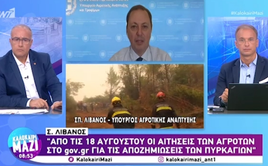 Λιβανός για φωτιές: Άμεσα οι αποζημιώσεις στους πληγέντες