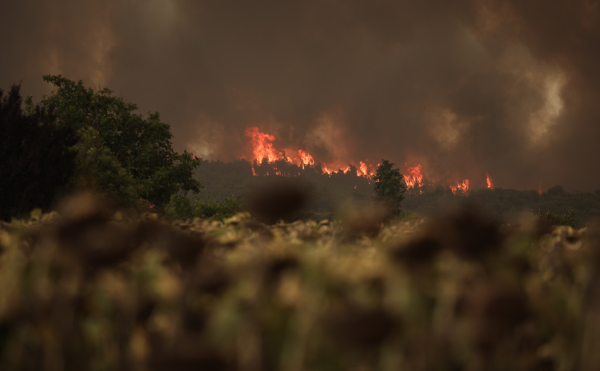 Φωτιά στην Εύβοια: Μήνυμα του 112 &#8211; Εντολή για εκκένωση σε Γαλατσάδες, Καματριάδες και Μηλιές