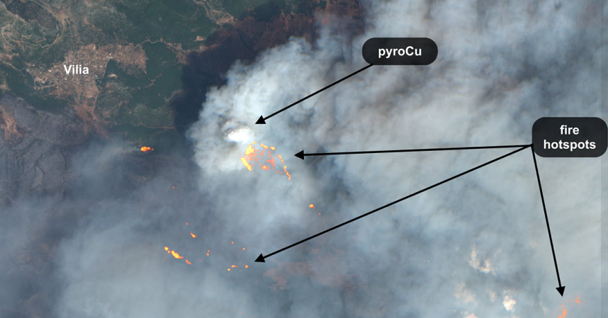 Φωτιά στα Βίλια: Η πυρκαγιά εμφανίζει «ακραία συμπεριφορά» &#8211; Τι λένε οι πυρομετεωρολόγοι