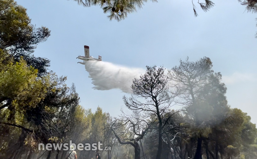 Φωτιά στη Βαρυμπόμπη: Νέες εικόνες από τη μάχη των πυροσβεστών και των αεροπλάνων με τις αναζωπυρώσεις