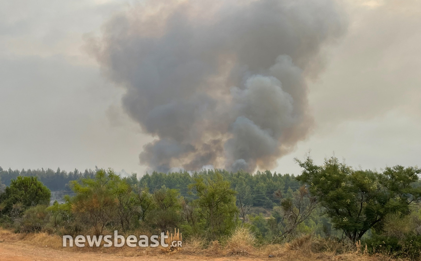 Φωτιά στο Κρυονέρι: Αναζωπύρωση σε δυο σημεία στα όρια του οικισμού