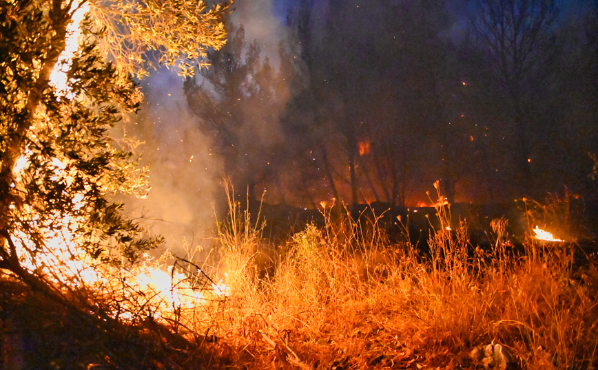 Λέκκας για τη φωτιά στη Βαρυμπόμπη: Στους 600 βαθμούς έφτασε η θερμοκρασία &#8211; «Πυριτιδαποθήκη» η Ελλάδα