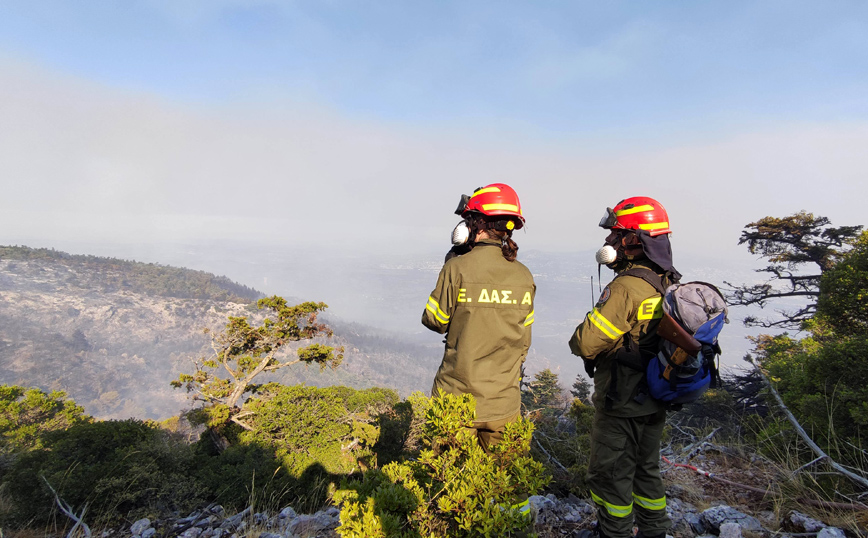 Το σχέδιο νόμου του Υπουργείου Εσωτερικών που θα «βάλει σε τάξη» τον εθελοντισμό