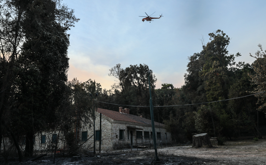 Μενδώνη για τη φωτιά στο Τατόι: Ζημιές σε 7 κτίρια – Τι περιείχαν τα κοντέινερ