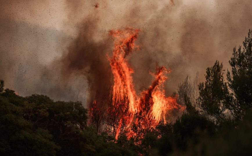 Αποζημιώσεις fast track σε νοικοκυριά, επιχειρήσεις, αγρότες που έχουν πληγεί από τις πυρκαγιές
