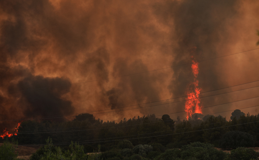 Φωτιά στη Βαρυμπόμπη: Δείτε βίντεο και φωτογραφίες από τη Βαρυμπόμπη