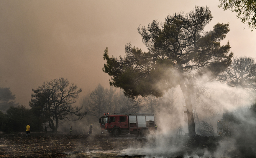 Τα μέτρα στήριξης των πληγέντων από τις φωτιές παραγωγών