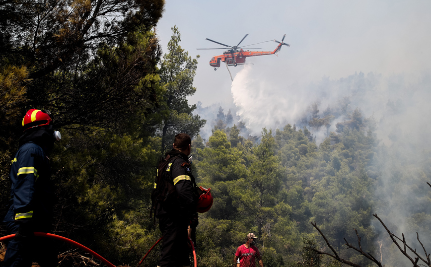 Φωτιά στα Βίλια: «Υπάρχουν σοβαρές ενδείξεις εμπρησμού» υποστηρίζει ο δήμαρχος Μάνδρας