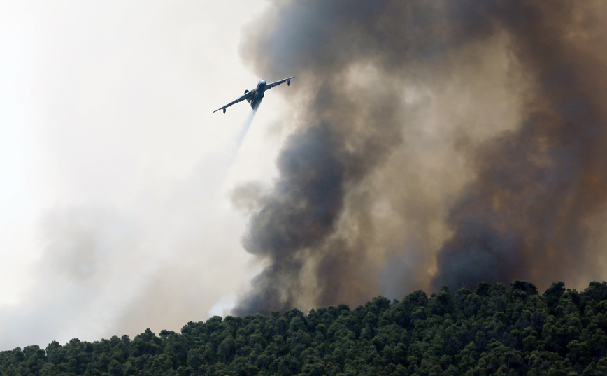 Φωτιά στα Βίλια: «Εξελίσσεται σε αυτοκαθοδηγούμενη», λένε οι πυρομετεωρολόγοι