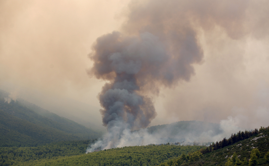 Φωτιά στα Βίλια: Αγωνία για τον οικισμό, άλλαξε φορά ο άνεμος