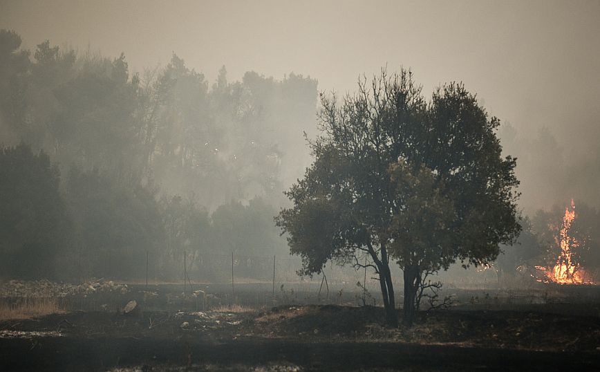 Φωτιά στα Βίλια: Εκκενώνονται προληπτικά οικισμοί
