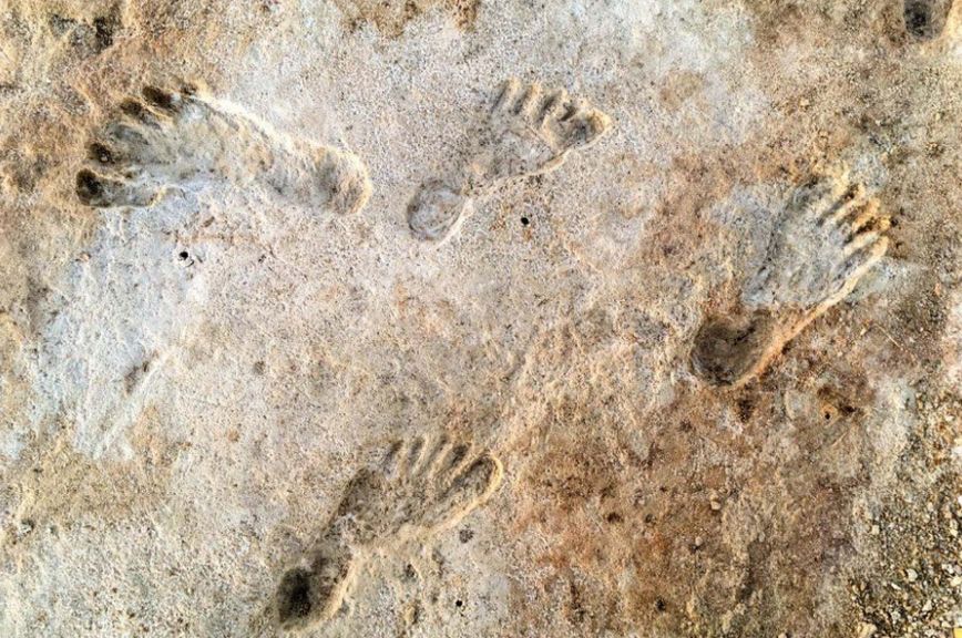Huge discovery overturns everything: The oldest human footprints found in America are 23,000 years old
