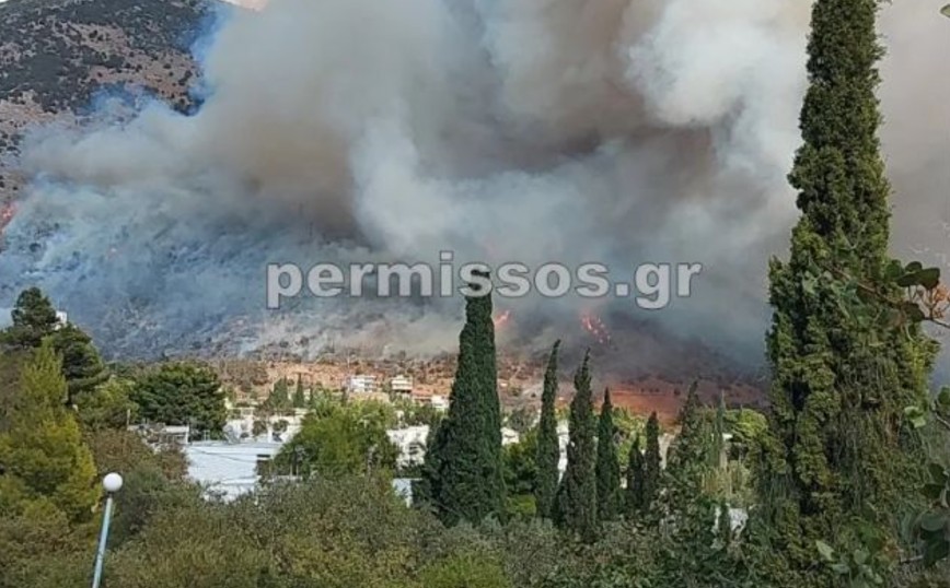 Φωτιά στη Βοιωτία: Μήνυμα 112 για τους κατοίκους στην παραλία Διστόμου και Περιστερά