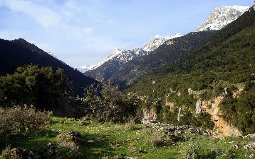 Φθιώτιδα: Επιχείρηση απεγκλωβισμού νεαρών σε φαράγγι