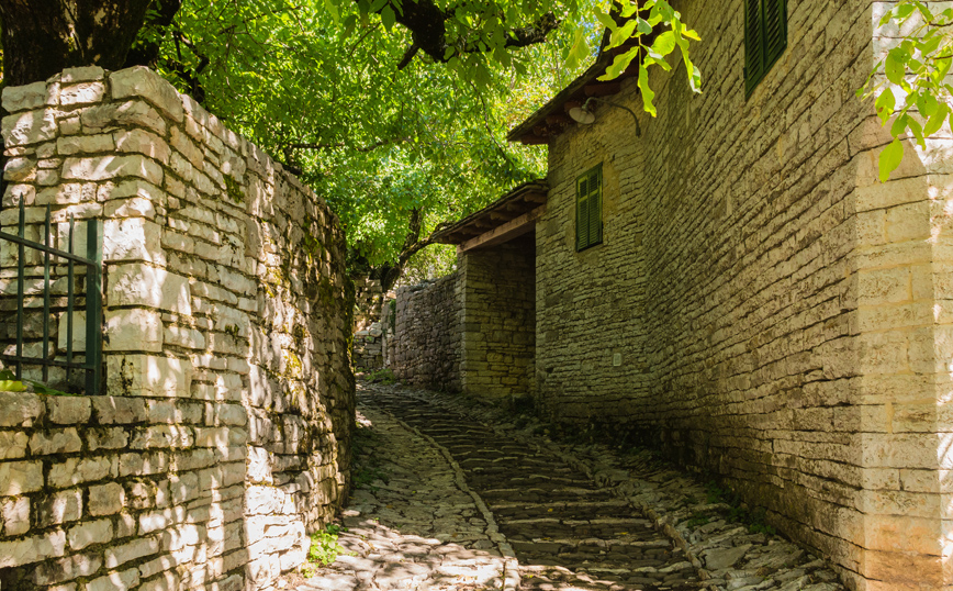 ΜΟΝΟΔΕΝΔΡΙ ΖΑΓΟΡΙ ΜΟΝΟΔΕΝΔΡΙ ΖΑΓΟΡΙ